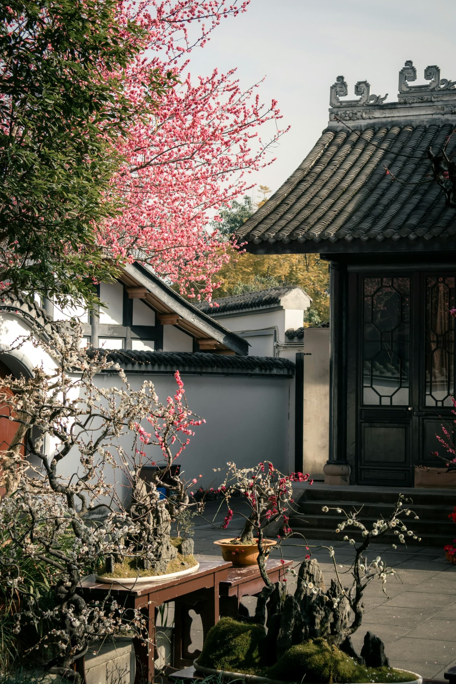 成都真实旅游风景